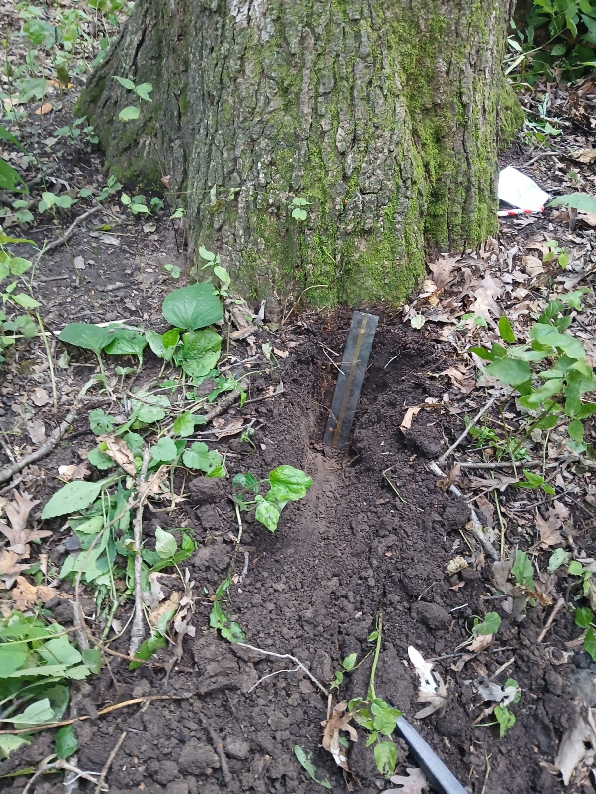 Field Data Collection Is Underway